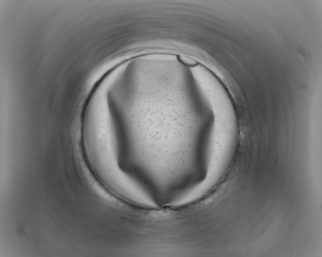 X0000113271523200910011417