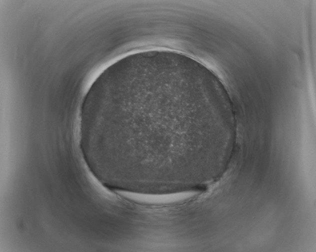 X0000113271524200910011417