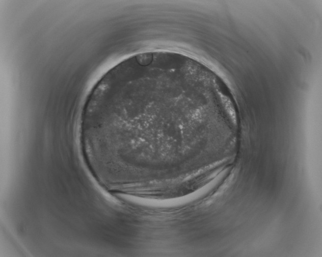 X0000113271525200910011418