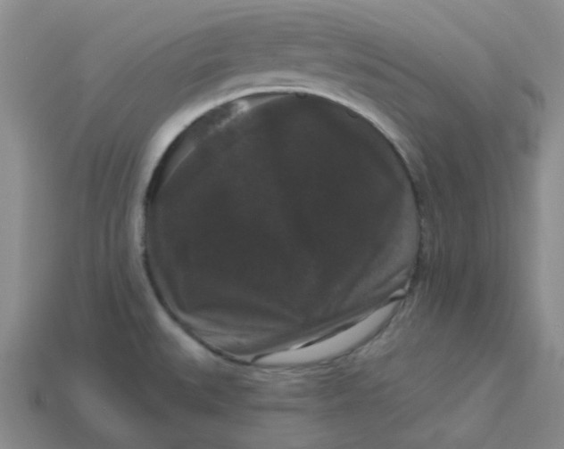 X0000113271527200910011418