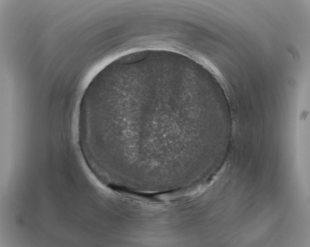 X0000113271528200910011418