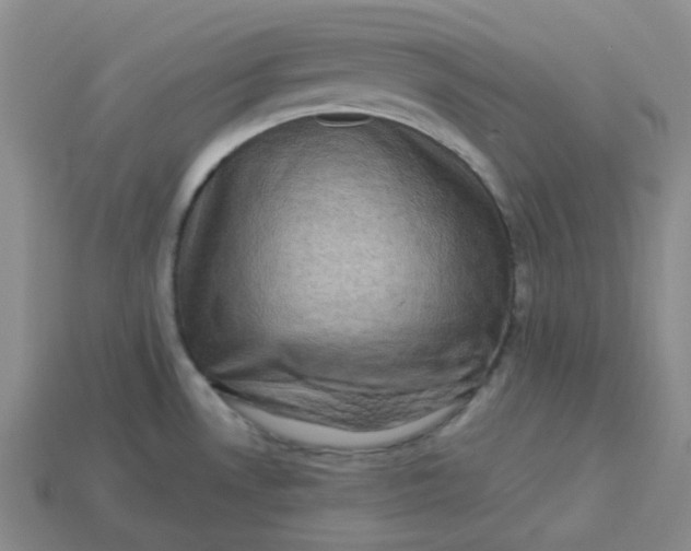 X0000113271530200910011418