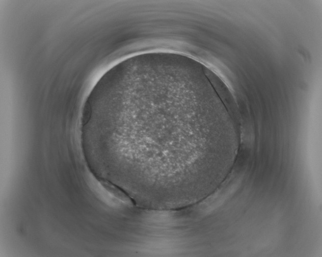 X0000113271532200910011418