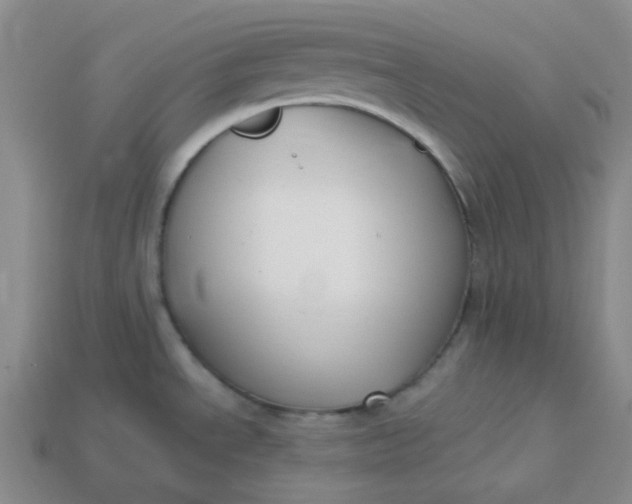 X0000113271534200910011418