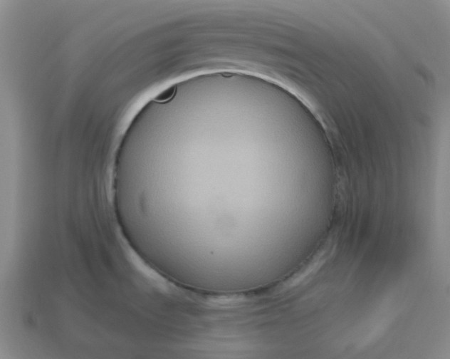 X0000113271535200910011418