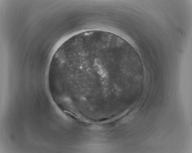 X0000113271536200910011418