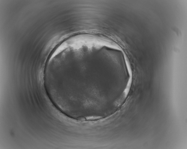 X0000113270002200910081410