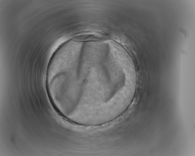 X0000113270003200910081410