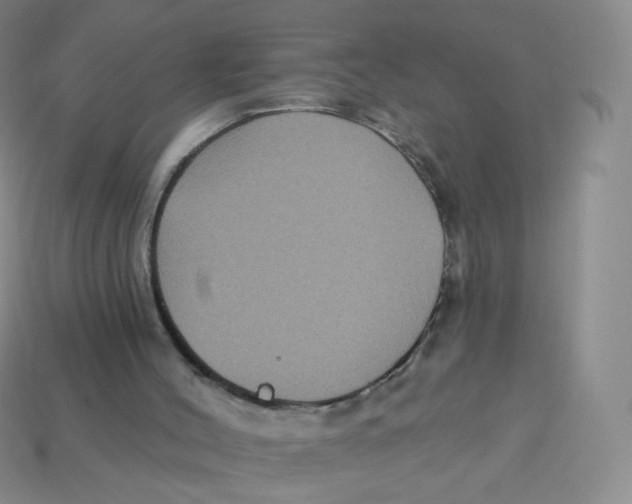 X0000113270004200910081410