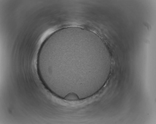 X0000113270006200910081410