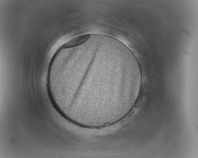 X0000113270007200910081410