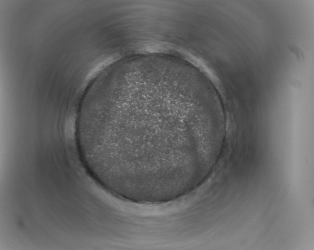 X0000113270010200910081410