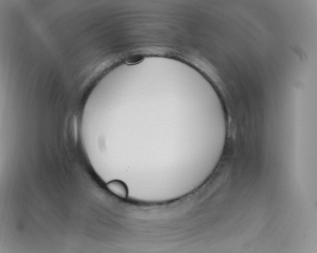 X0000113270013200910081410