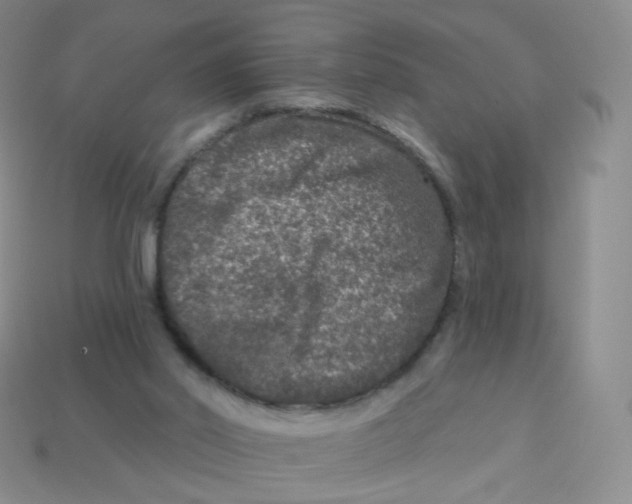 X0000113270014200910081410