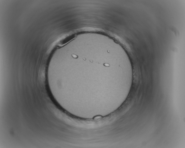 X0000113270015200910081410