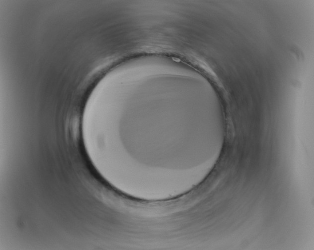 X0000113270019200910081410