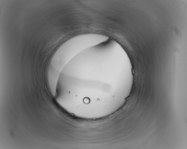 X0000113270021200910081410