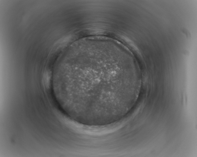 X0000113270026200910081410