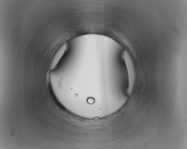 X0000113270027200910081410