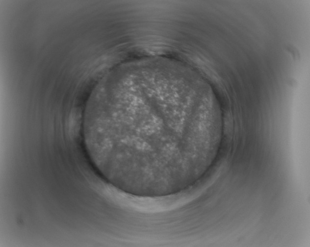 X0000113270030200910081410