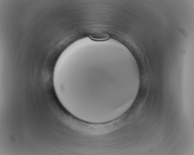 X0000113270031200910081410