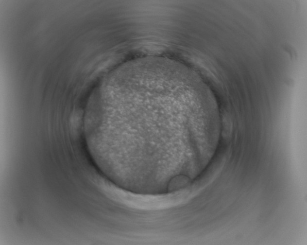 X0000113270034200910081410