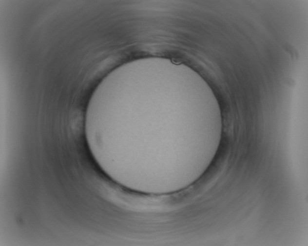 X0000113270036200910081410