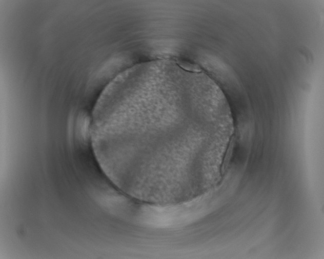 X0000113270041200910081409