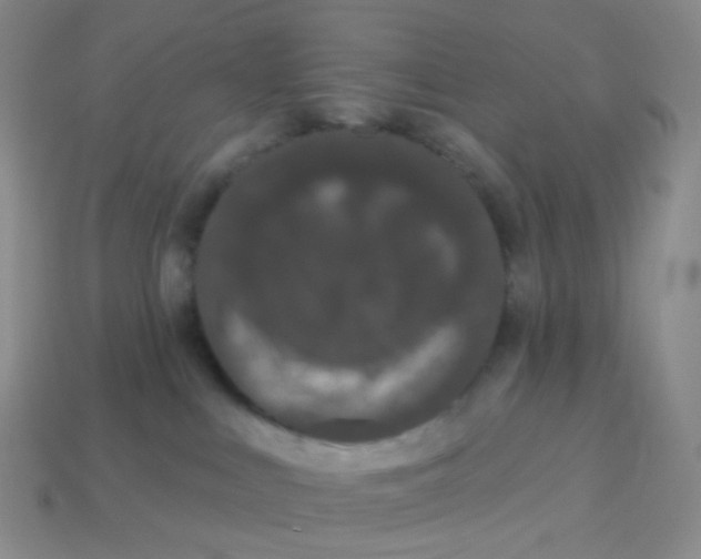 X0000113270043200910081409