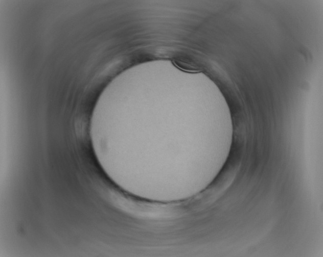 X0000113270044200910081409