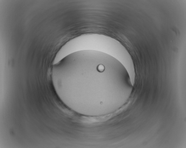 X0000113270045200910081409