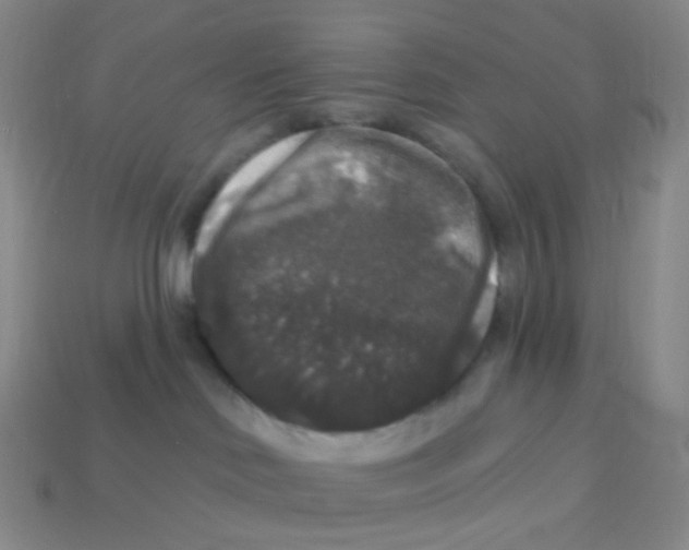 X0000113270046200910081409