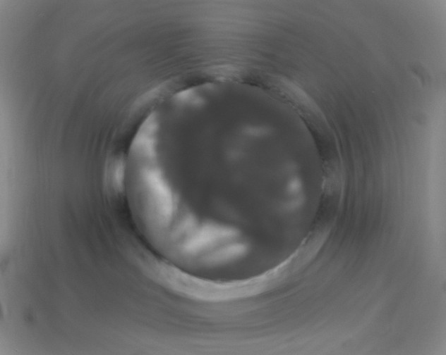 X0000113270047200910081409