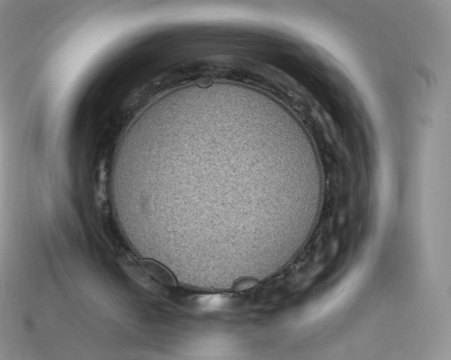 X0000113270050200910081409