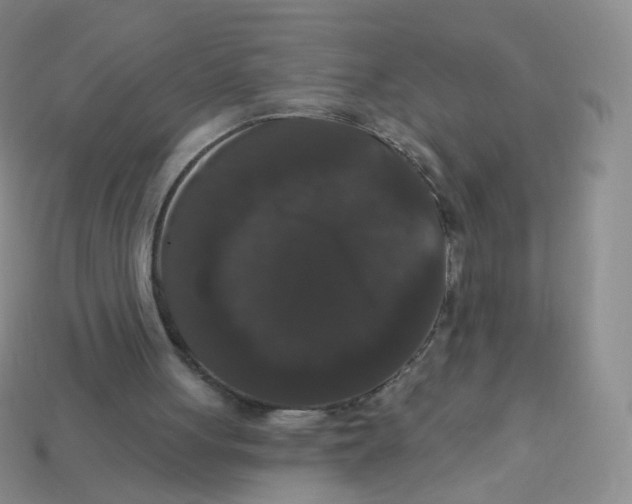 X0000113270051200910081409