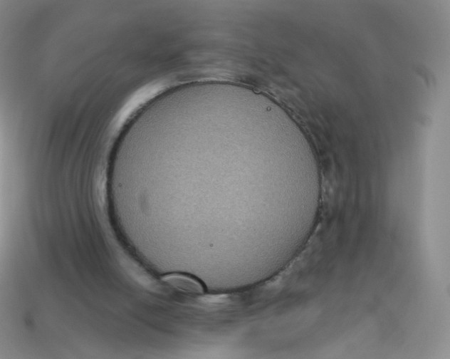 X0000113270054200910081409