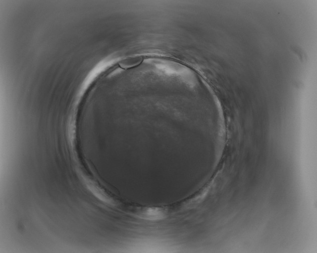 X0000113270056200910081409