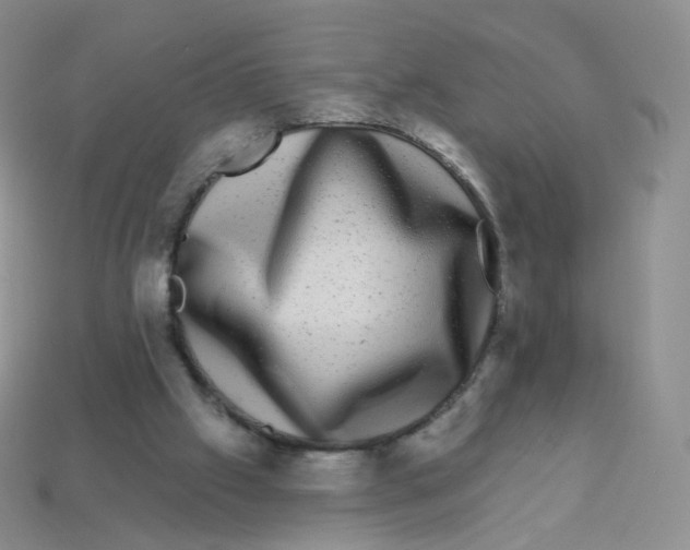 X0000113270057200910081409