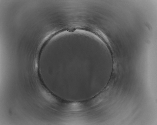 X0000113270059200910081409