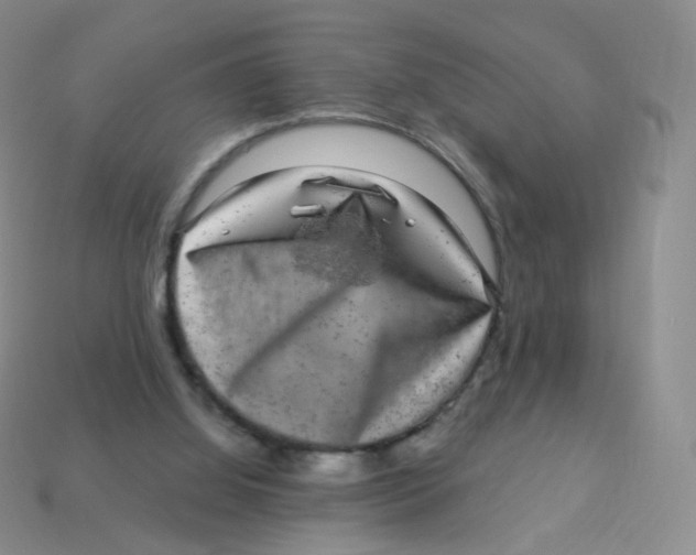 X0000113270060200910081409