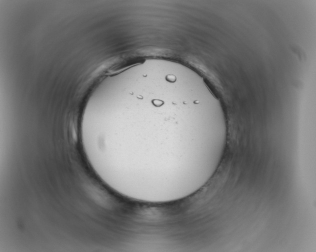 X0000113270062200910081409