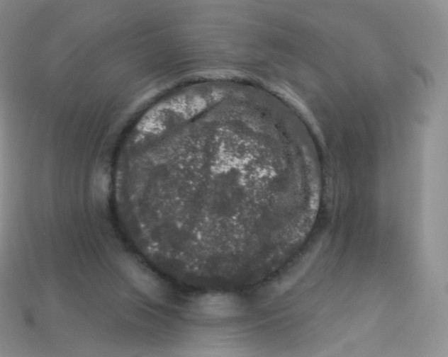 X0000113270063200910081409