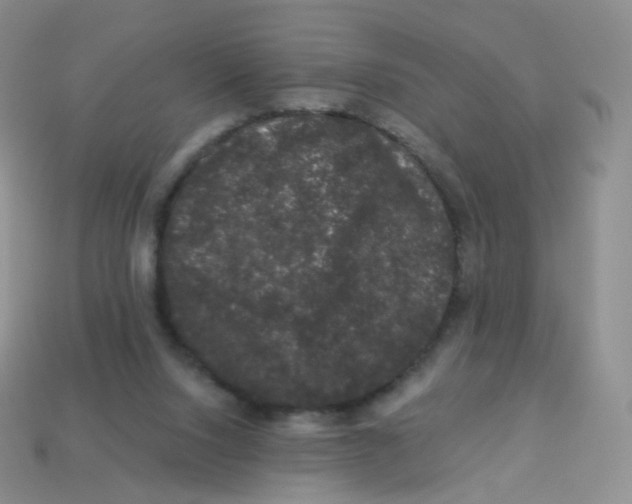 X0000113270064200910081409