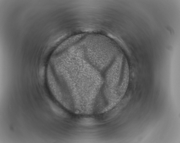 X0000113270066200910081409