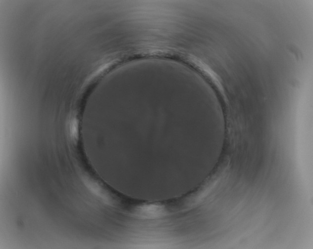 X0000113270067200910081409