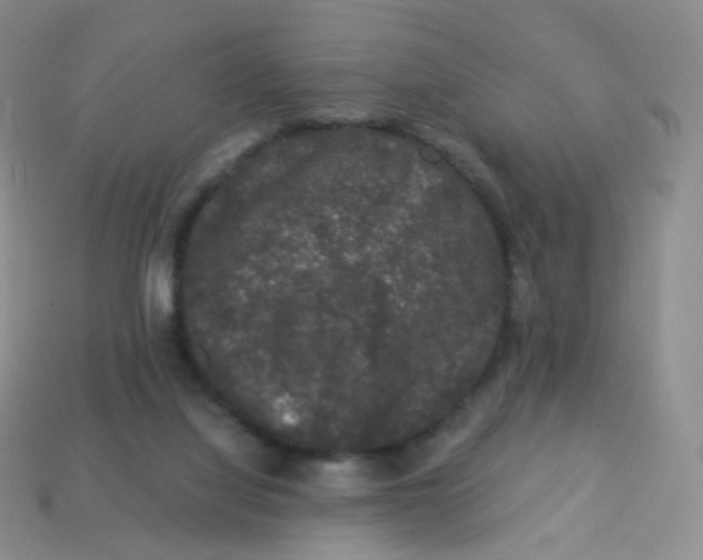 X0000113270068200910081409