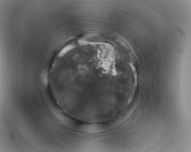 X0000113270069200910081409