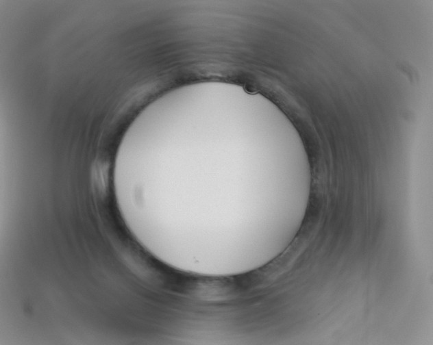 X0000113270070200910081409