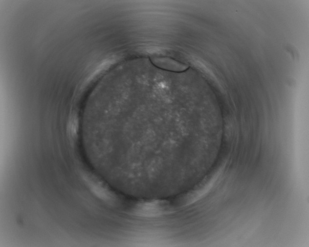 X0000113270072200910081409