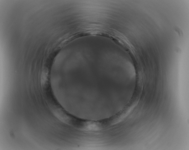 X0000113270073200910081409